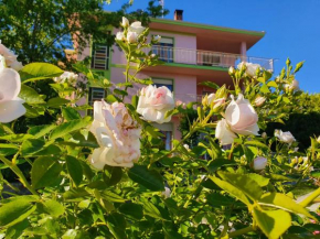 Гостиница Fiori e Frutti Appartamenti  Almese